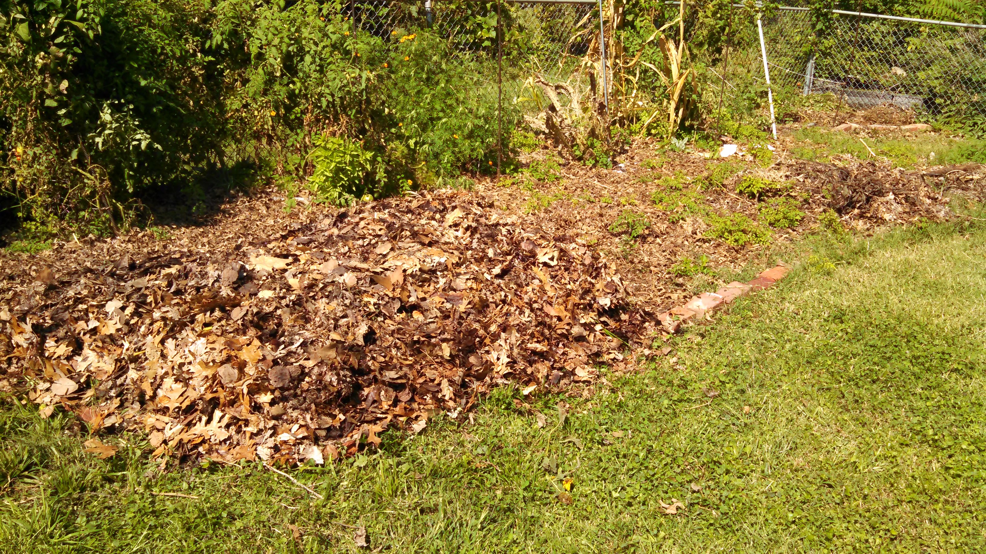 rebuilding the woody beds