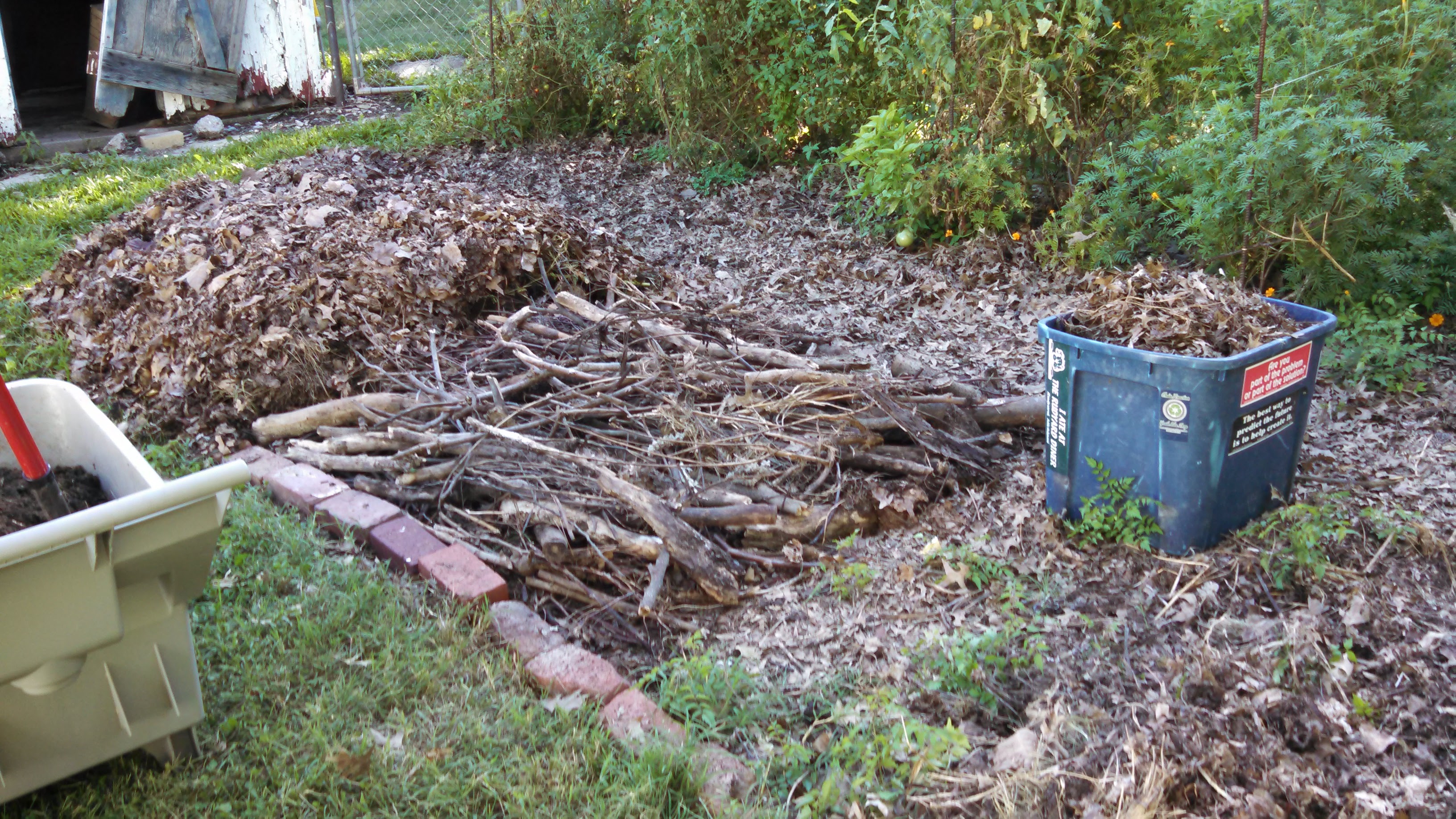 rebuilt woody beds