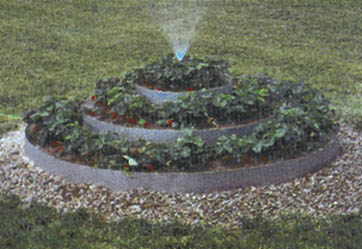 common stock image of a strawberry pyramid with a sprinkler in the center