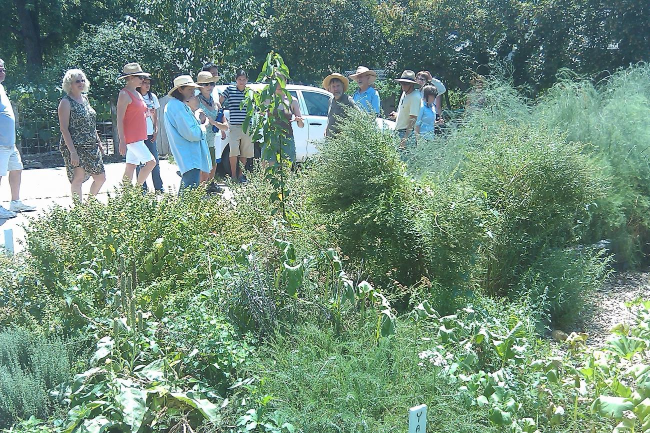 Amber Lerhman gives a tour of her homestead in Lawrence