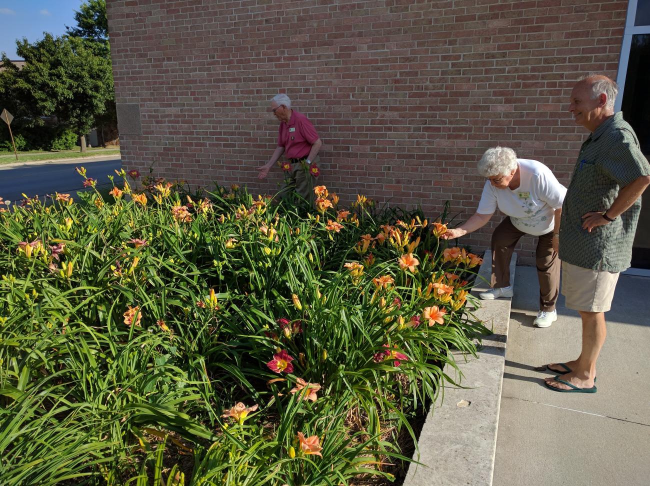 EGOA daylily bed at FUM Church